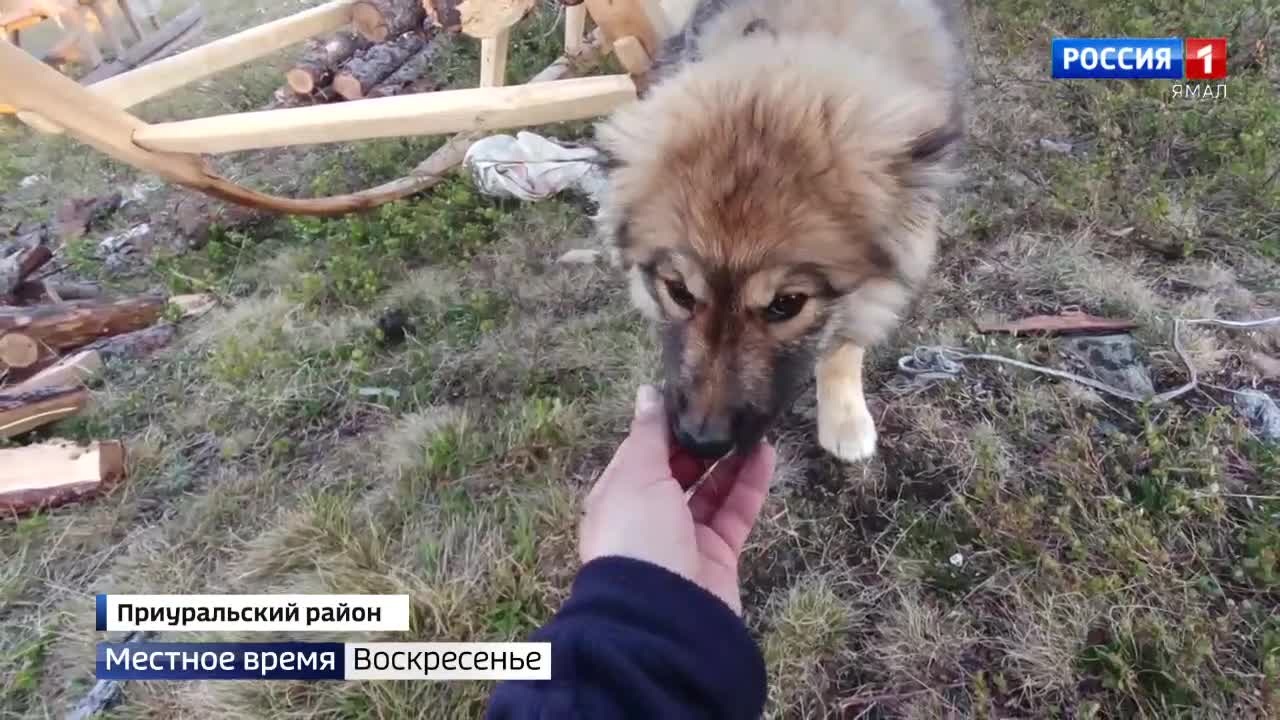 Эфир от 19.06.2022