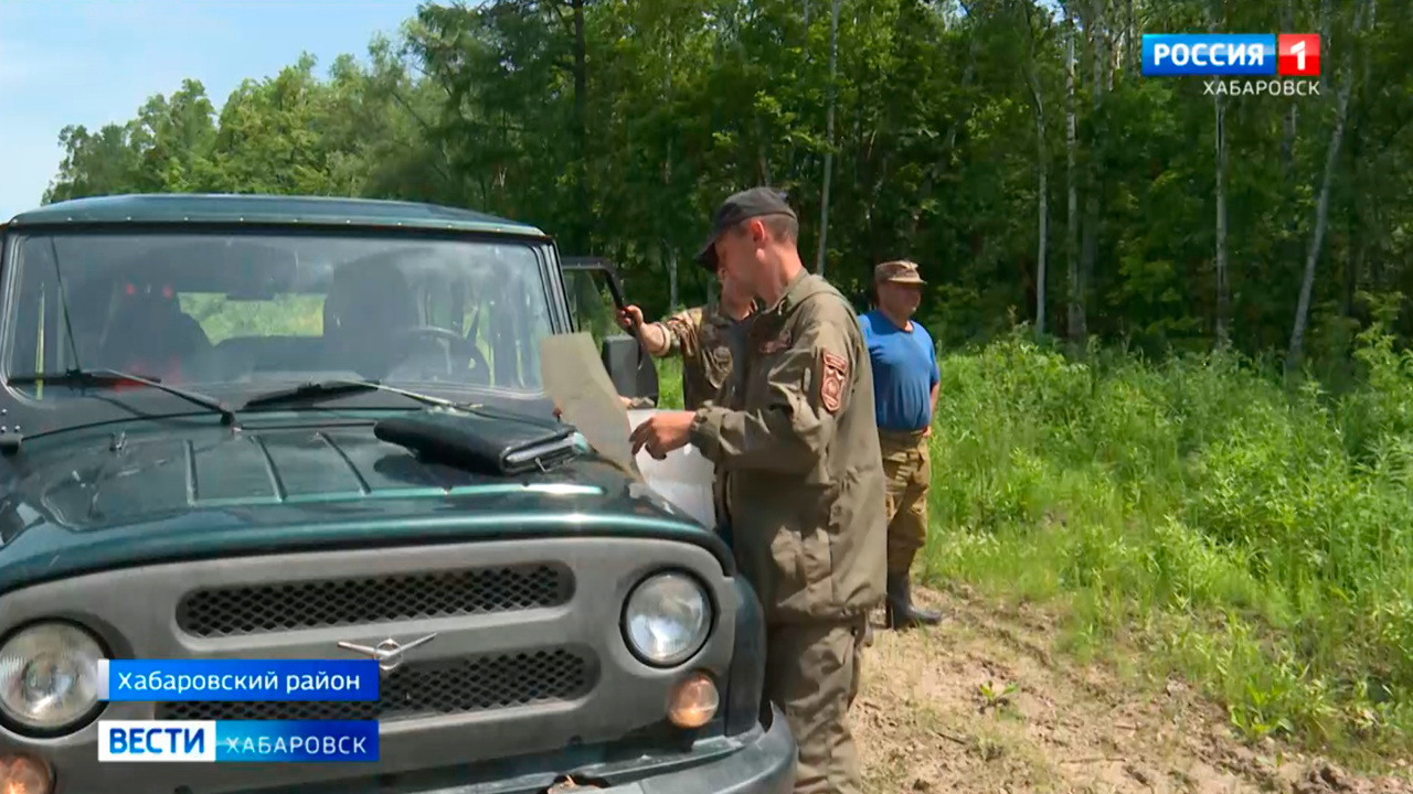 Сняли прямо с дерева: в заказнике под Хабаровском задержали браконьеров