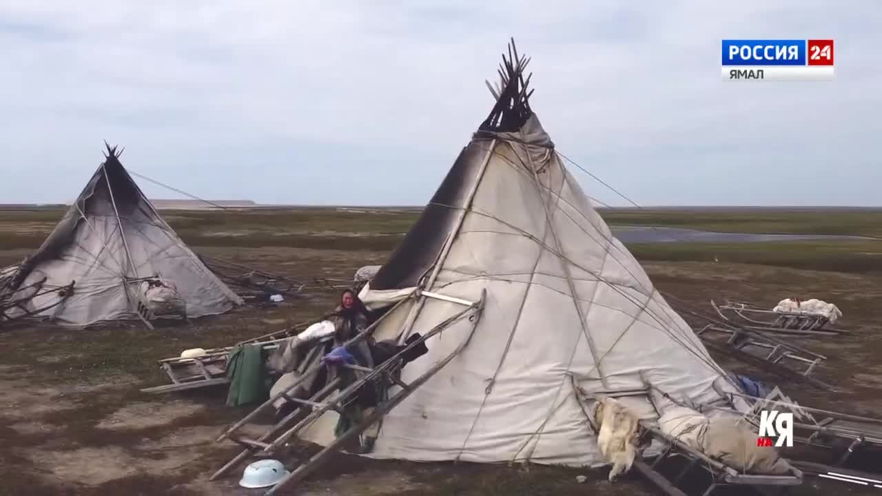 Байдарацкая тундра. Удивительные традиции ненецкого народа