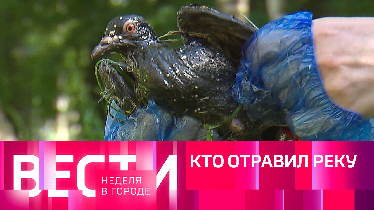 Эфир от 03.07.2022
