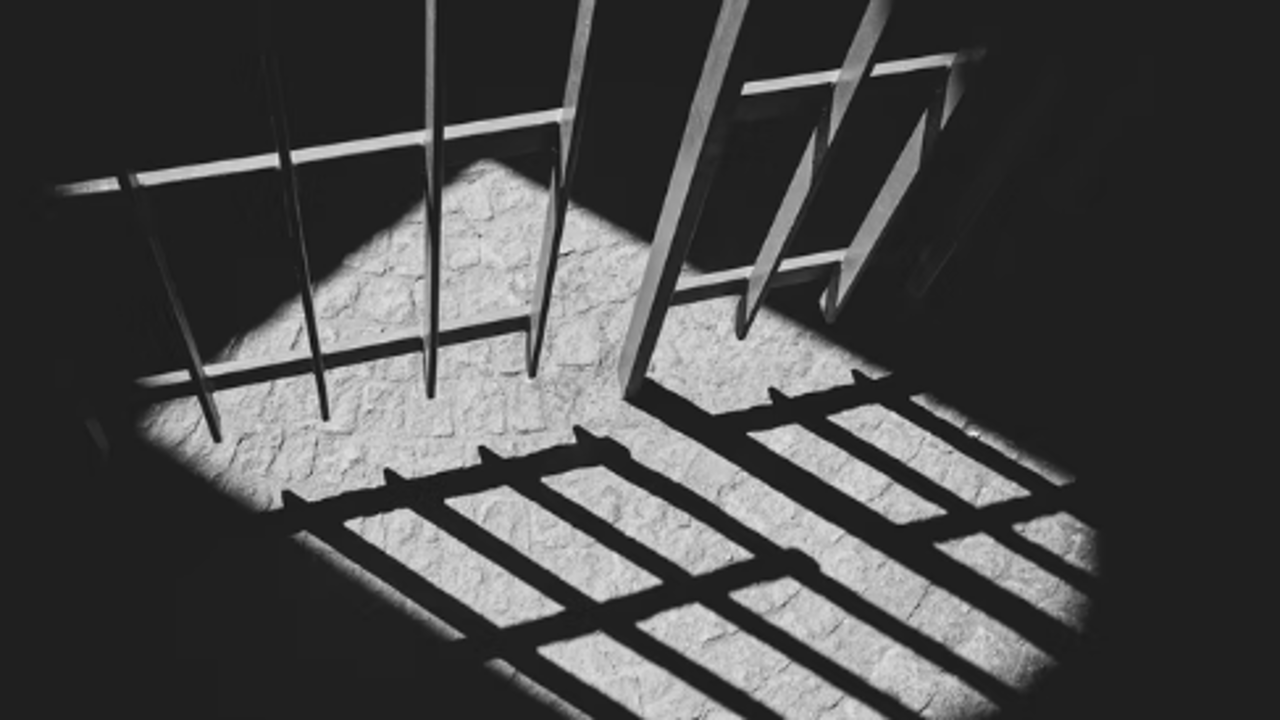 Клетки с искалеченными дикими животными обнаружили под Краснодаром