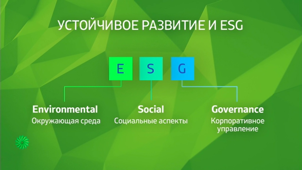 Проблемы с ESG могут дорого обойтись компании