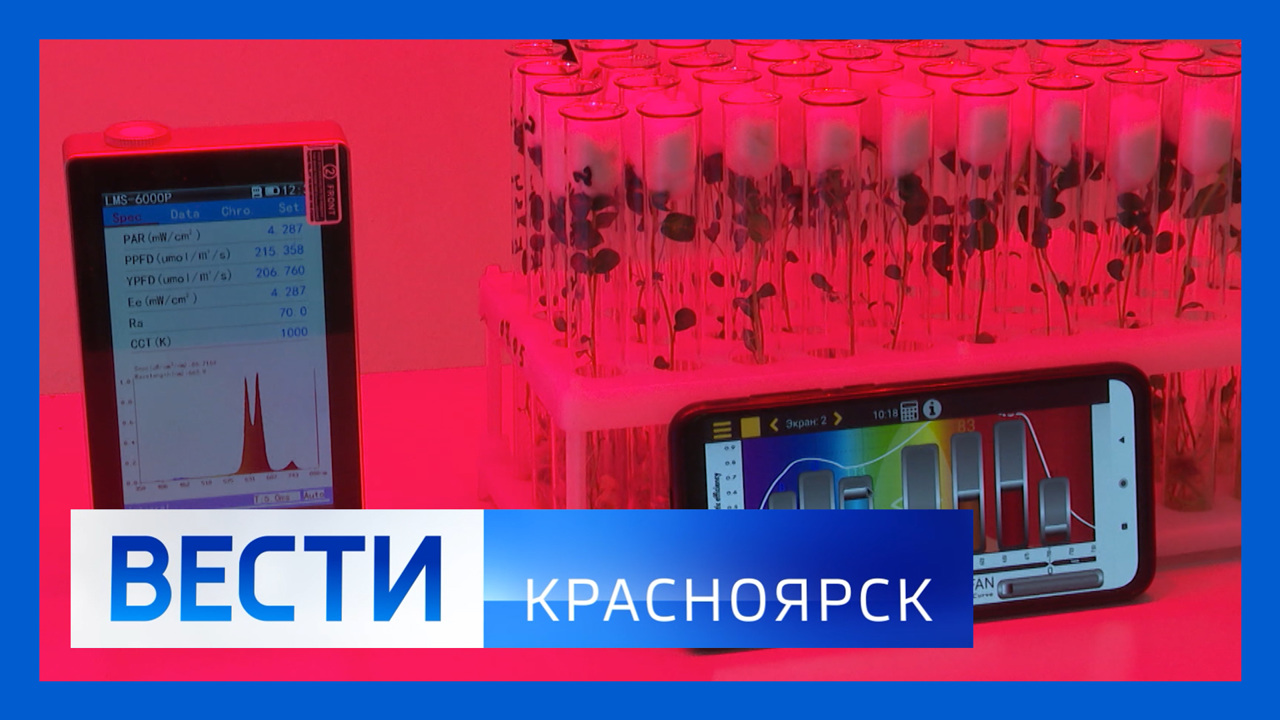 Эфир от 05.07.2022