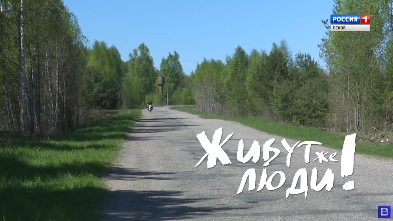 Живут же люди! Ремесленная мастерская "Пес и кот"