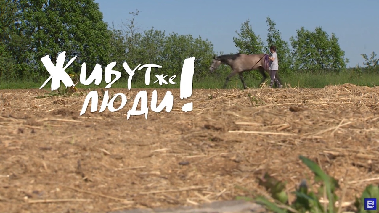Живут же люди! Горчаковы и команда в "Русском поле"