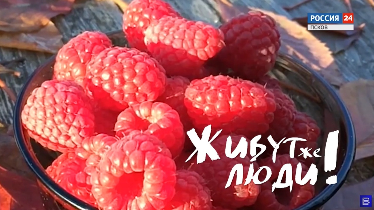 Живут же люди! Дендрарий-ягодник