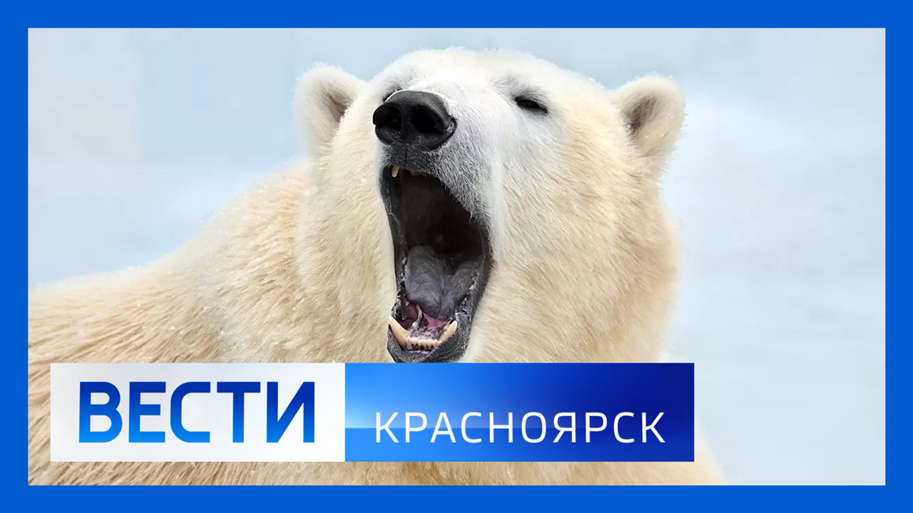 Эфир от 20.07.2022