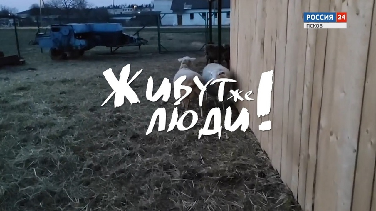 Живут же люди! Семья Молодежевых в деревне Лавры