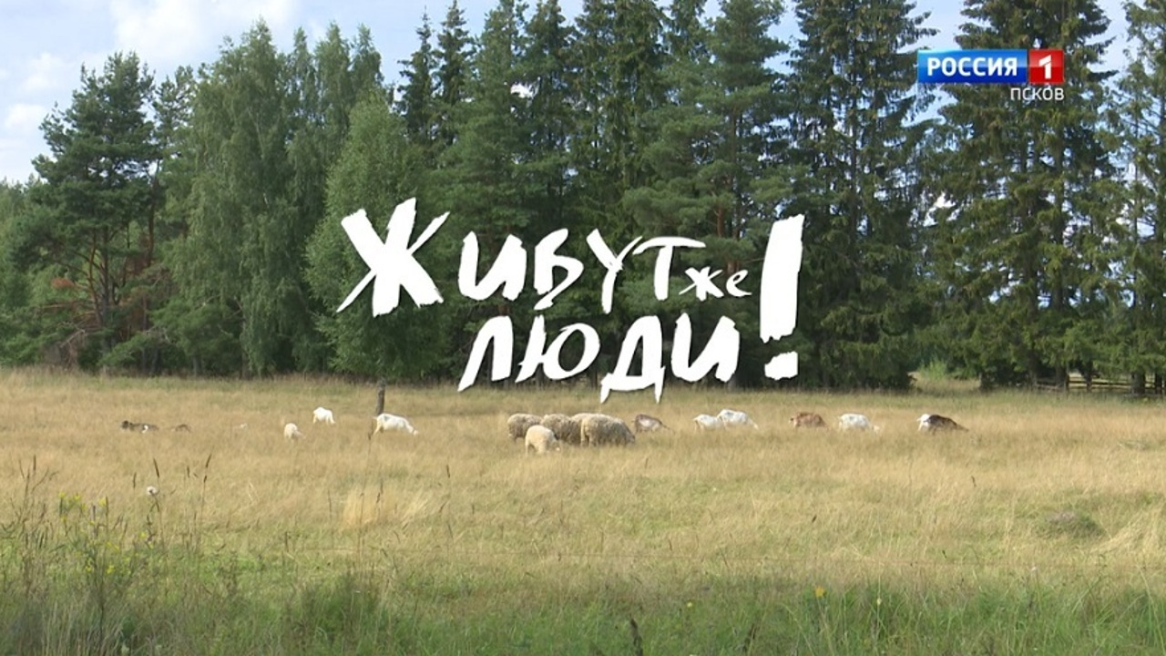 Живут же люди! Козье Загорье