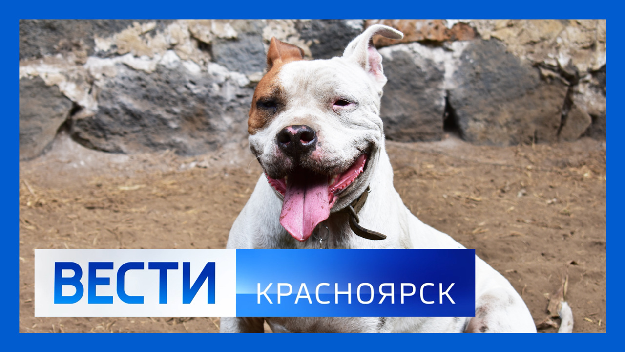 Эфир от 21.07.2022
