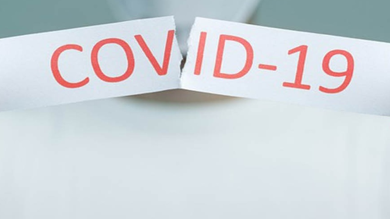 В Ярославской области COVID-19 заразились еще 50 человек