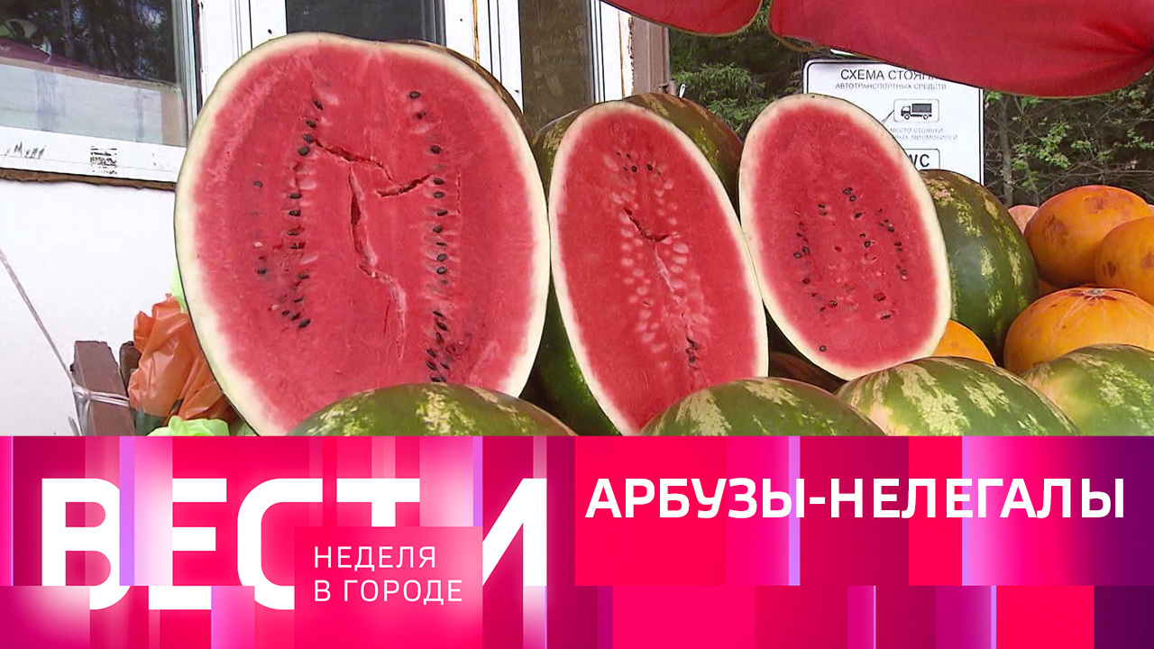 Эфир от 24.07.2022