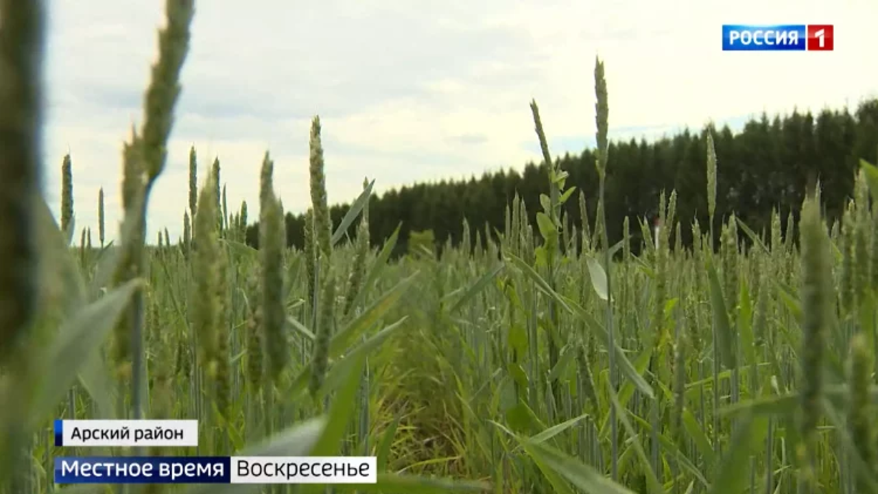 Эфир от 24.07.2022 (08:00)