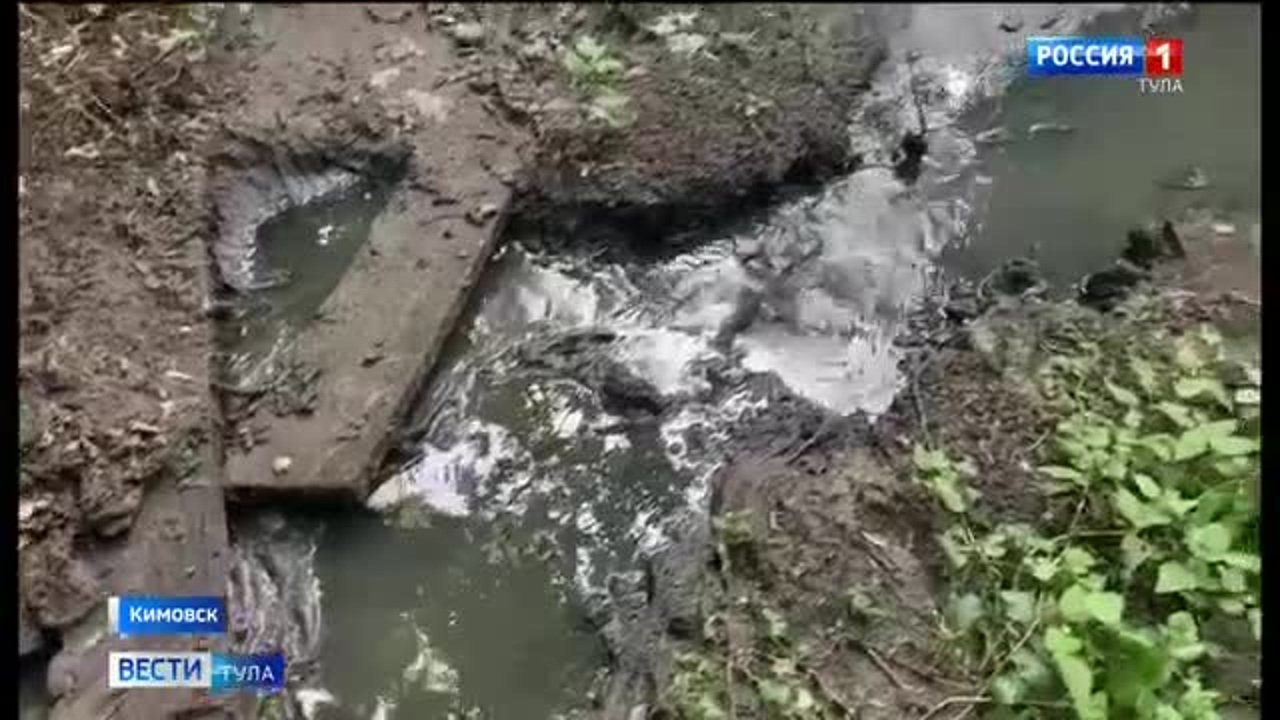 В кимовском лесу найден колодец со зловонной жижей