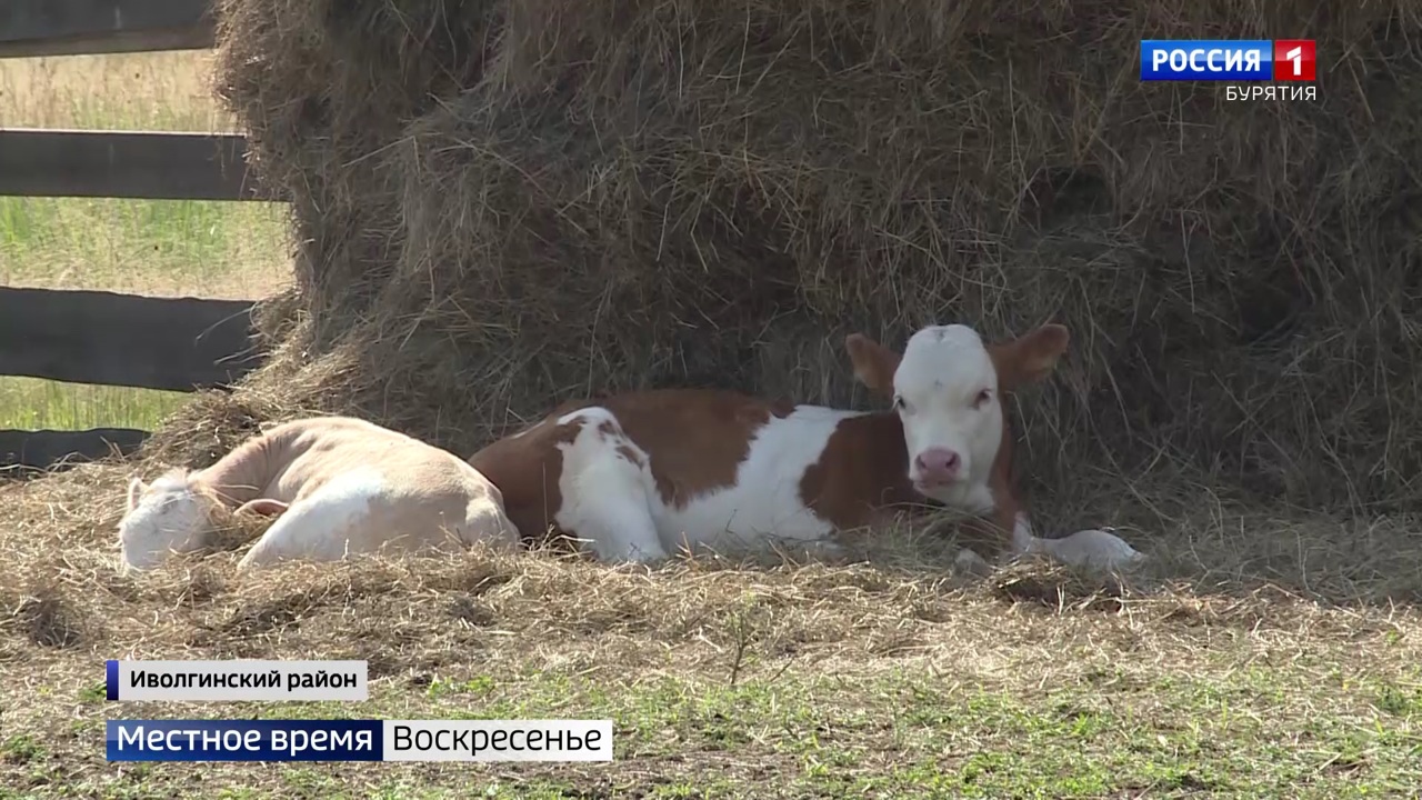 Эфир от 31.07.2022