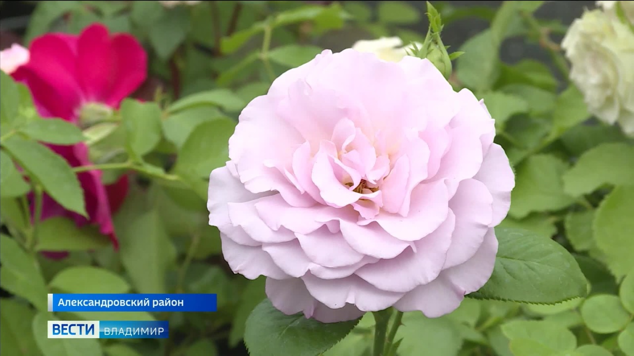 Эфир от 30.07.2022