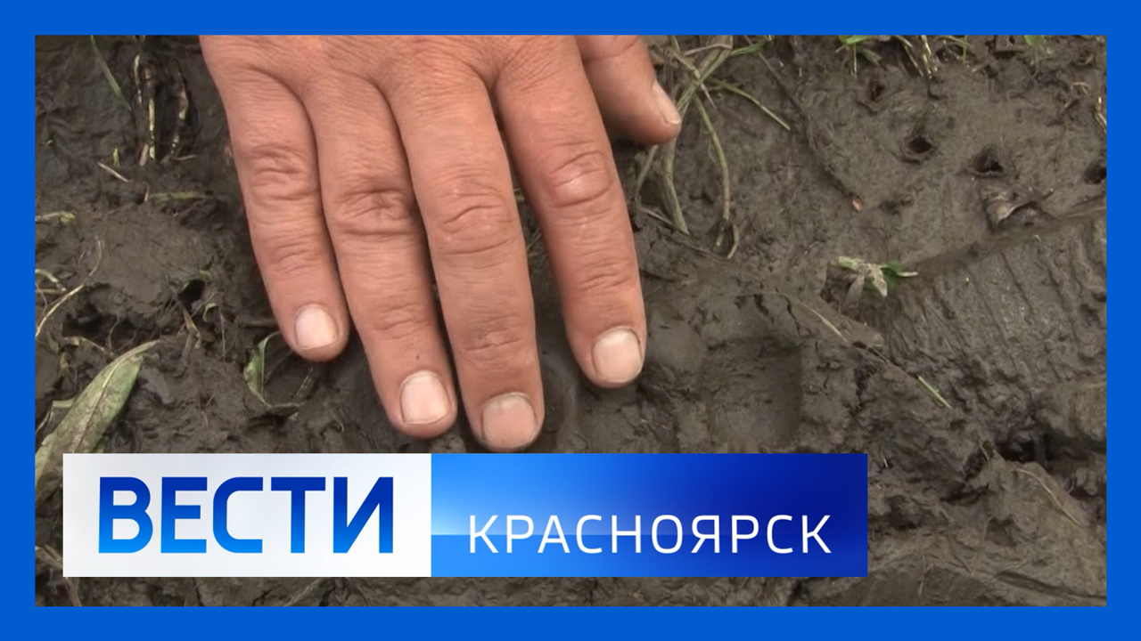 Эфир от 1.08.2022