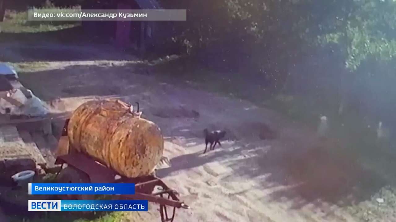Трёхлетний мальчик пропал в Великоустюгском районе