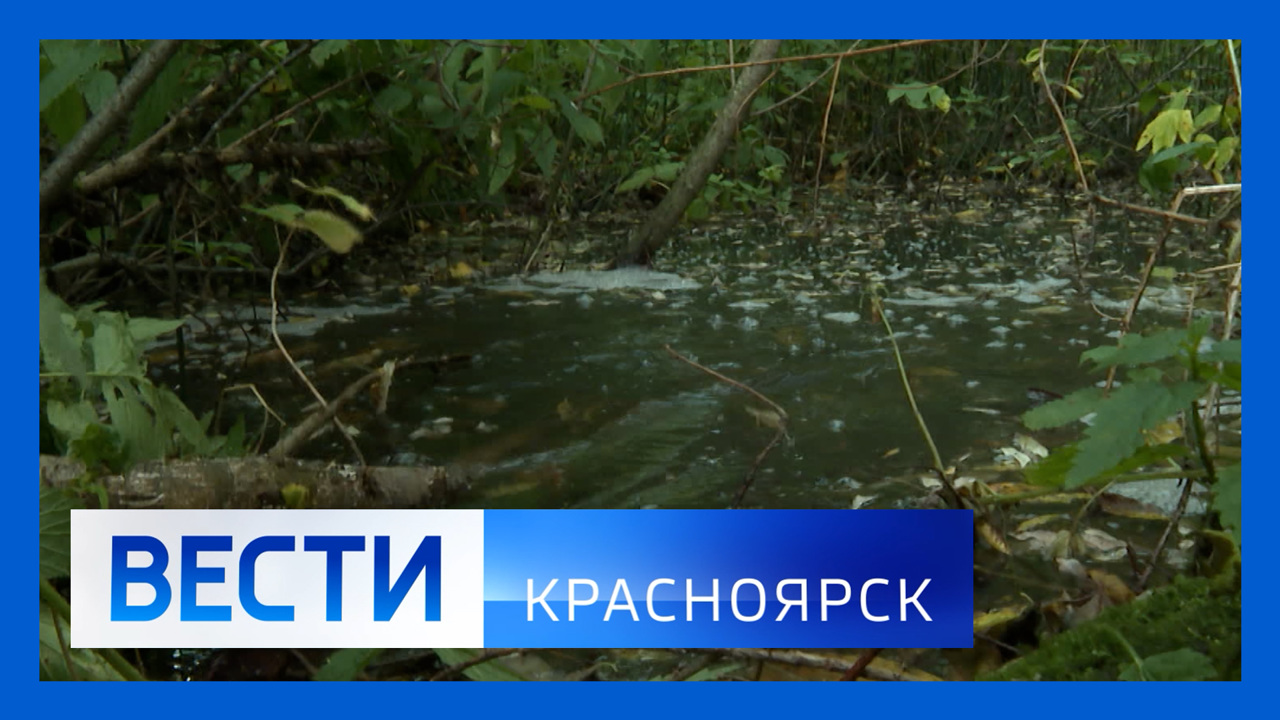 Эфир от 10.08.2022