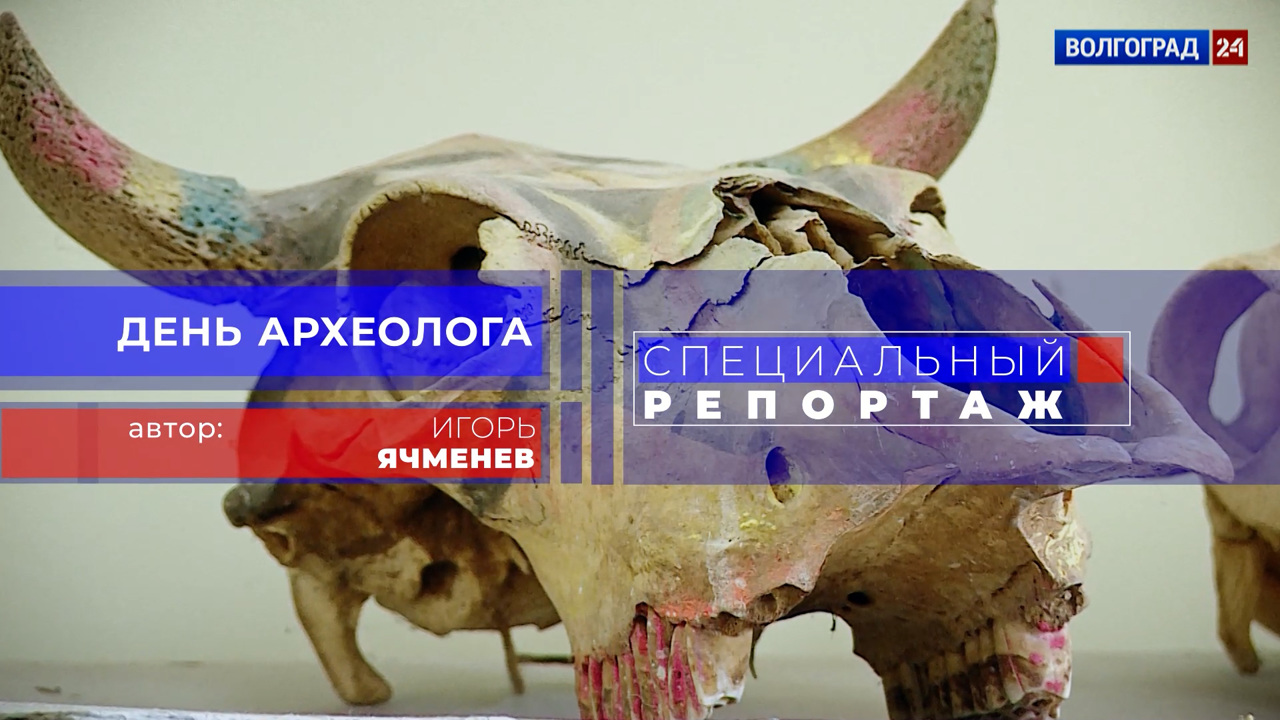 День археолога. Эфир от 11.08.2022