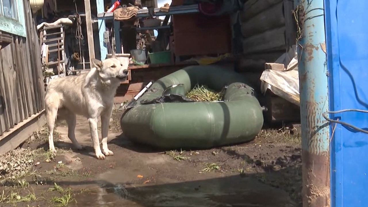 Эфир от 14.08.2022