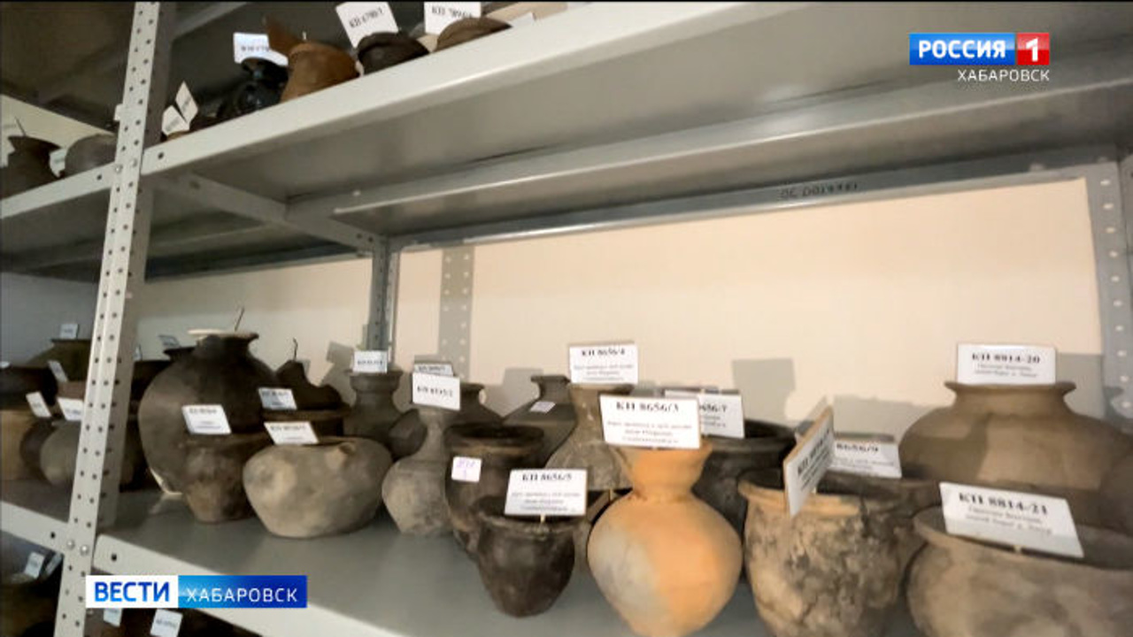В честь Дня археолога хабаровчанам показали "секретную" лабораторию и коллекцию Арсеньева
