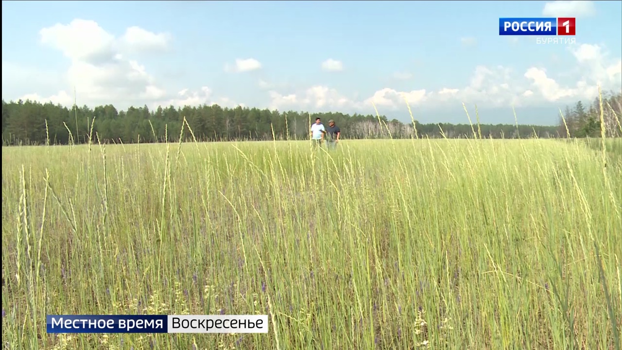 Эфир от 14.08.2022
