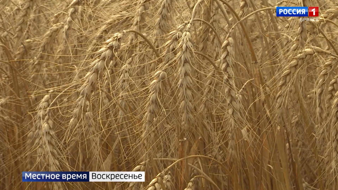 Эфир 14.07.2022