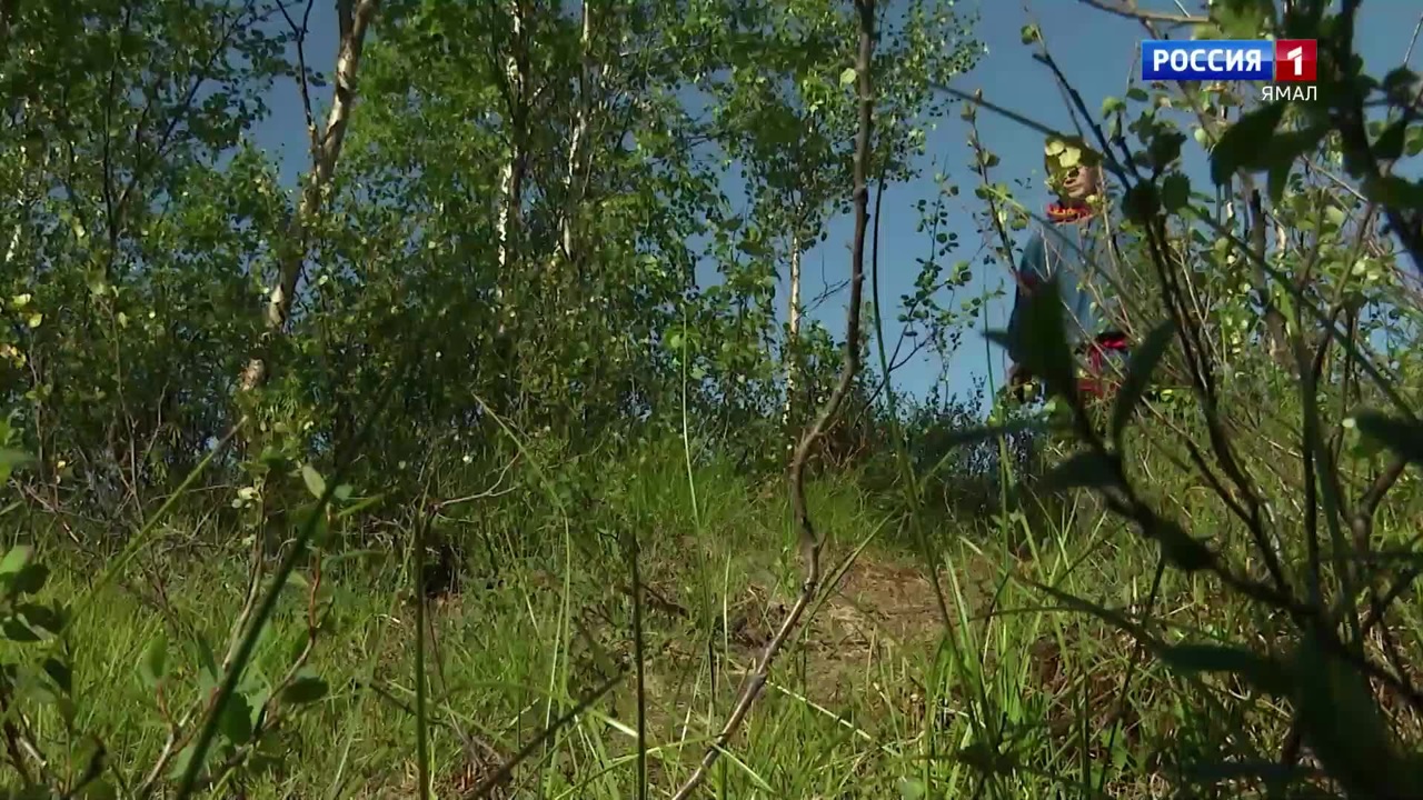 Сын оленевода