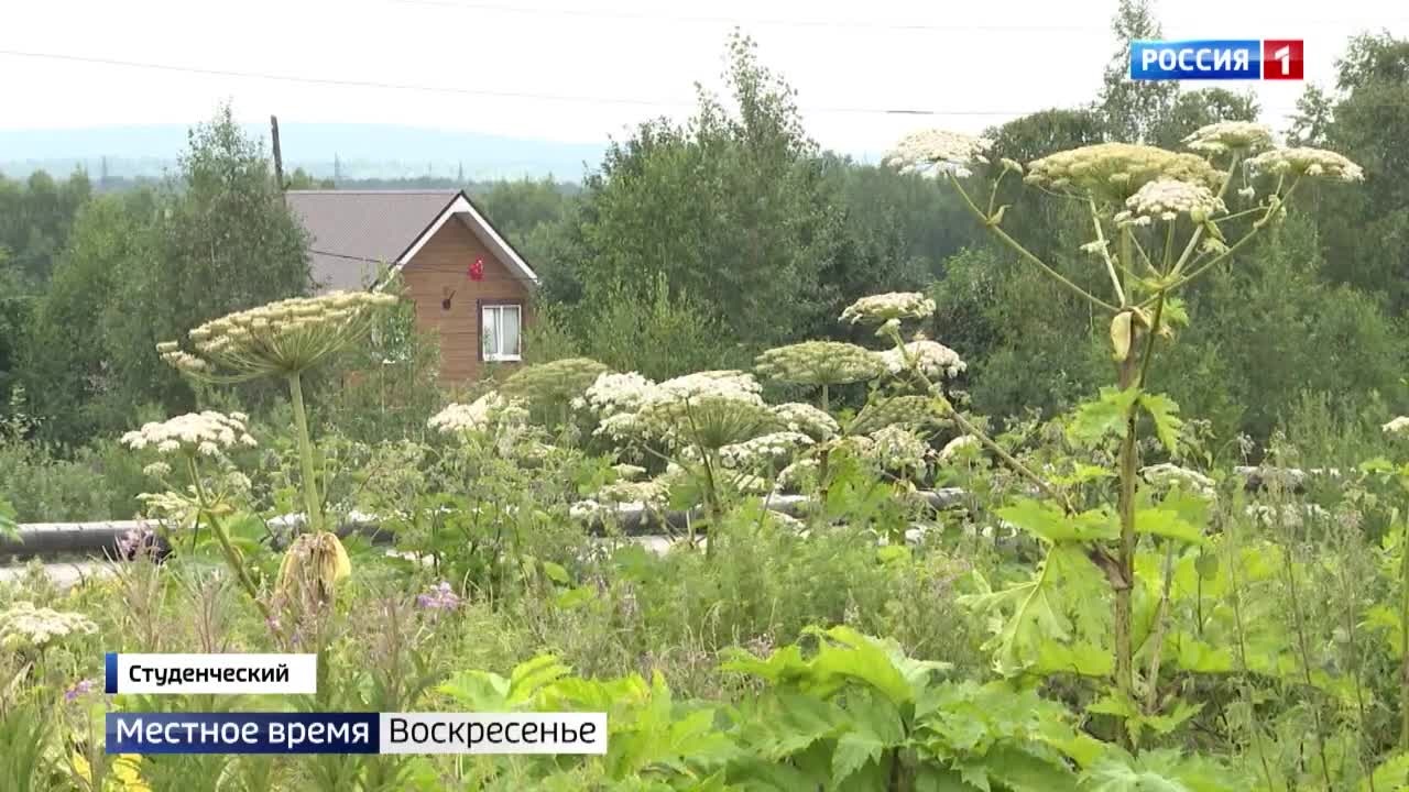 Эфир от 28.08.2022