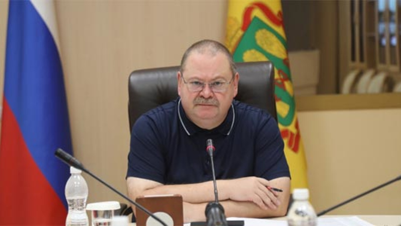 Пензенский губернатор поручил проверить состояние дорог и переходов у школ