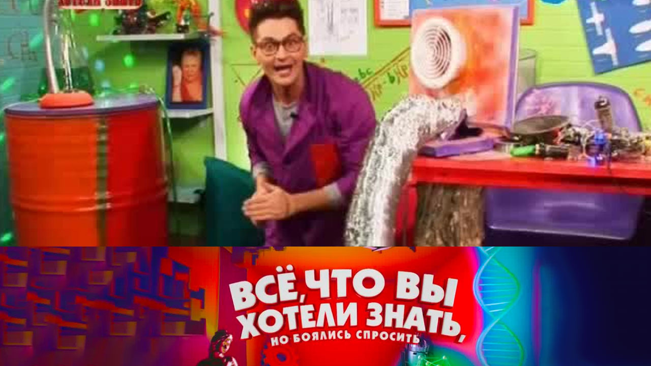 Как появились ковры