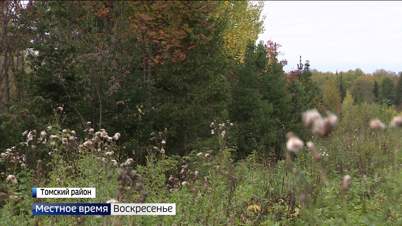Эфир от 18.09.2022