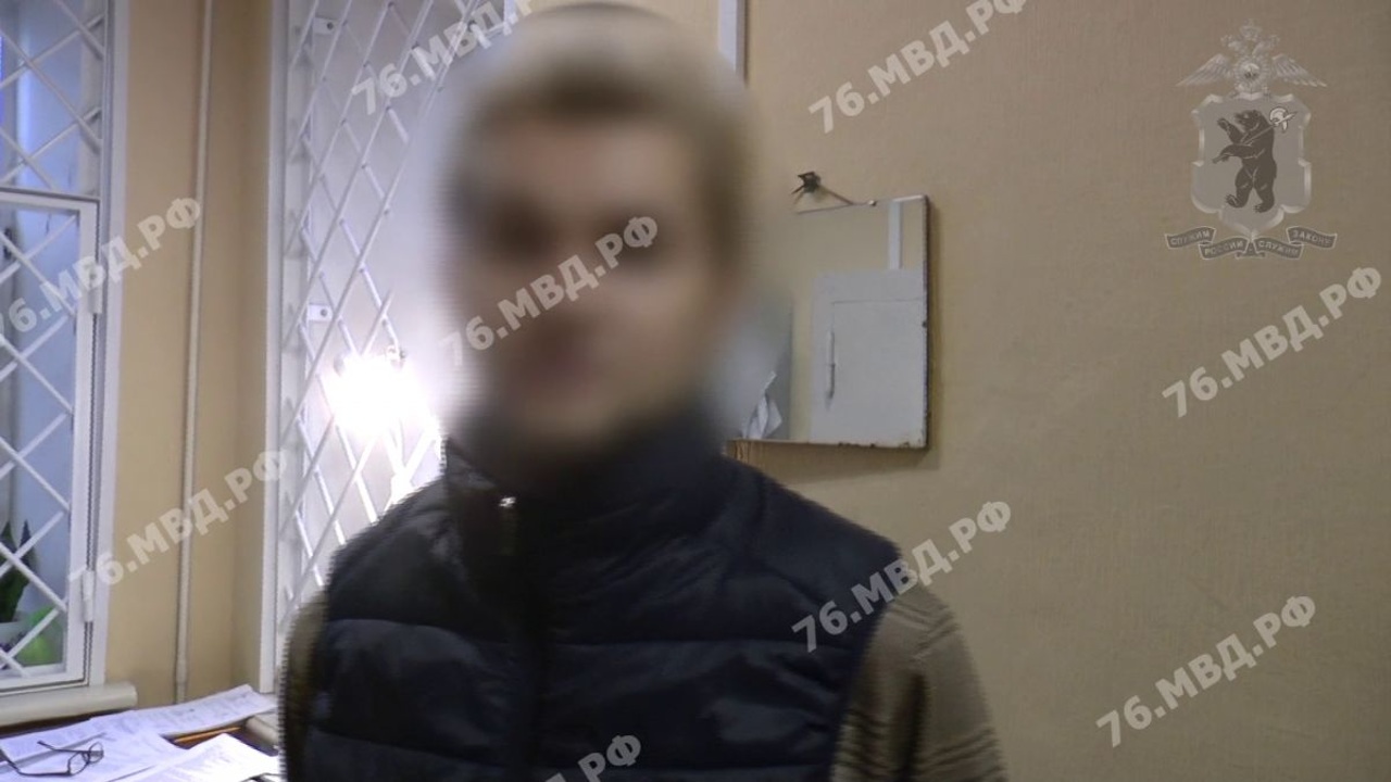 В Ярославле задержали ограбившего 9-летнюю девочку мужчину