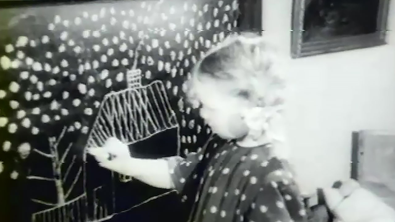 Год 1951