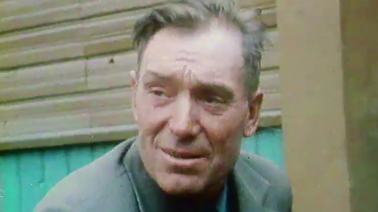 Год 1956