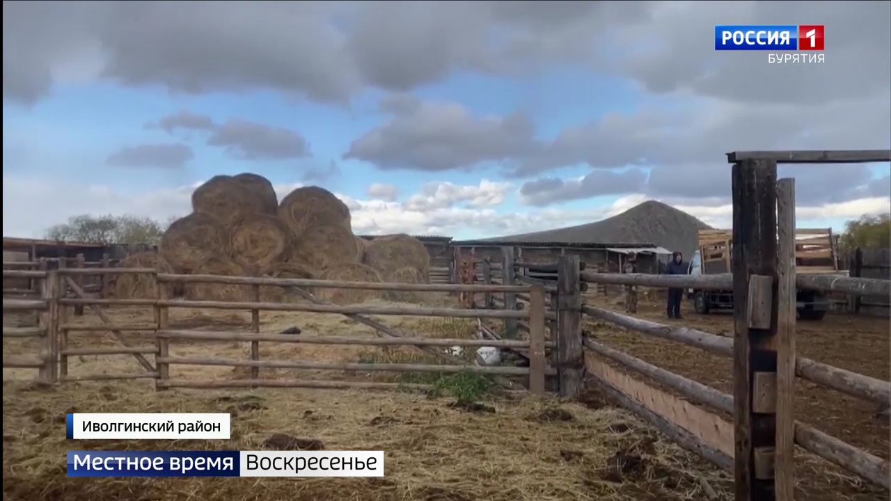 Эфир от 02.10.2022