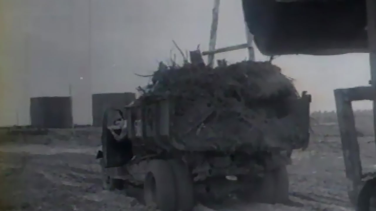 Год 1959