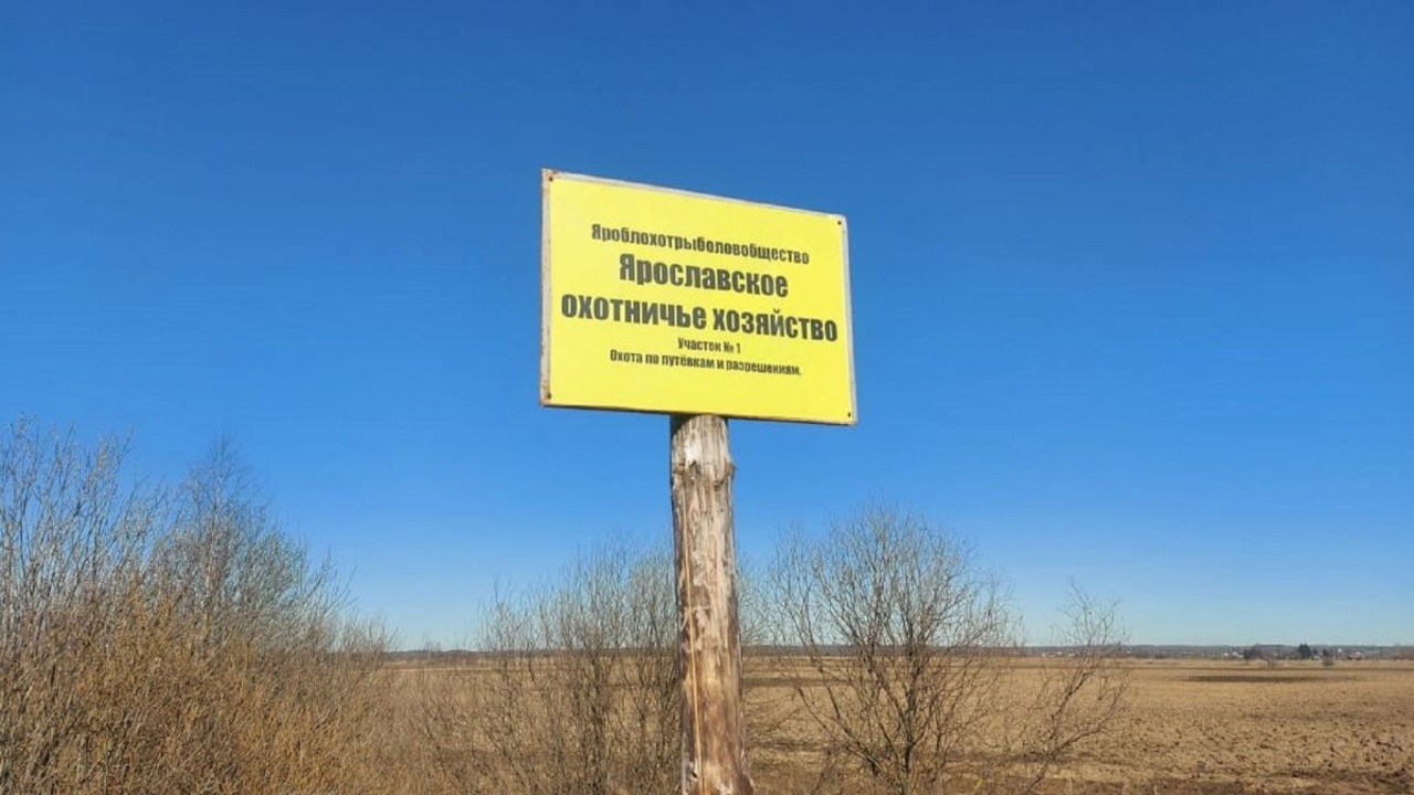 В Ярославской области открылся сезон охоты на бобра