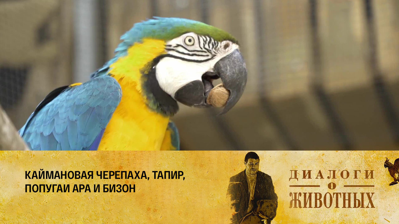 Калининградский зоопарк