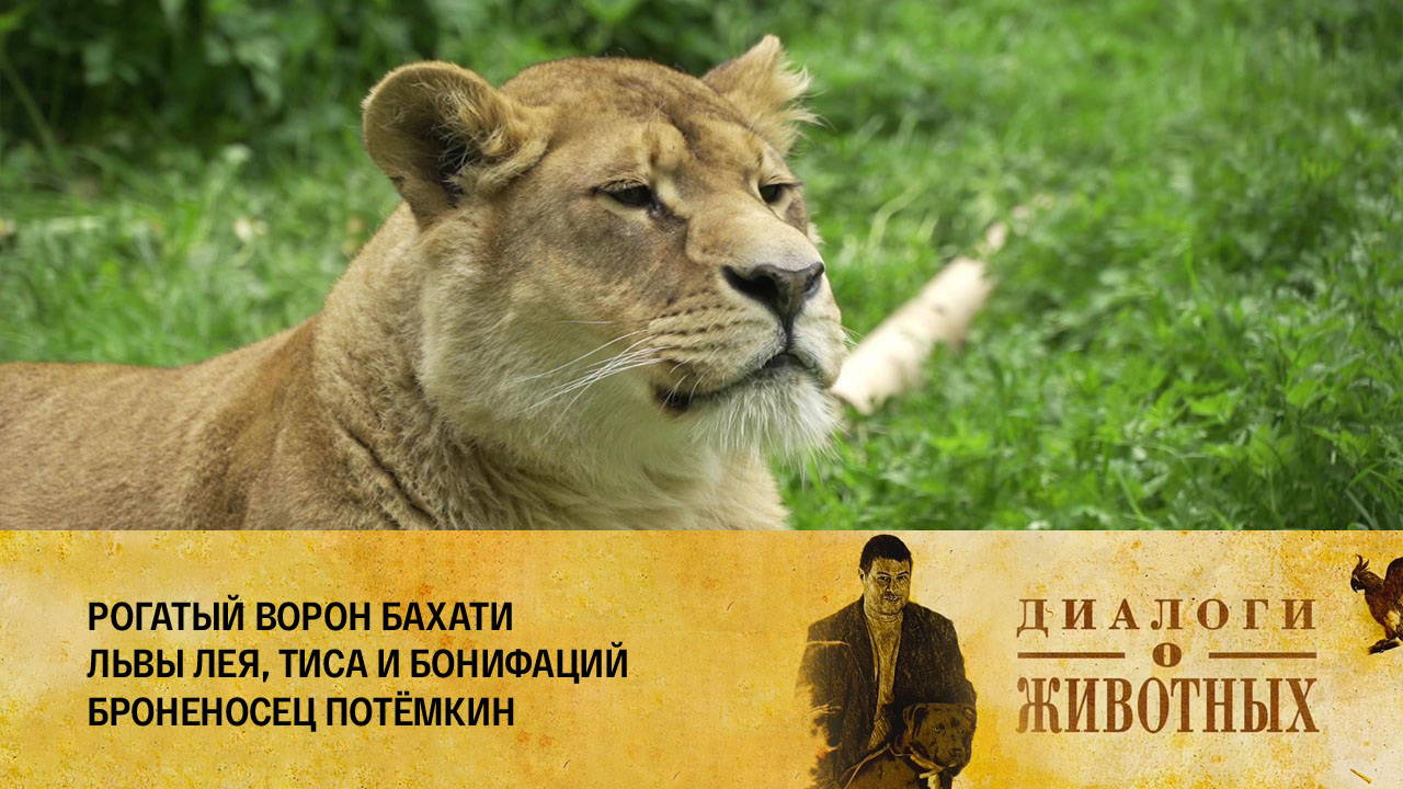 Калининградский зоопарк