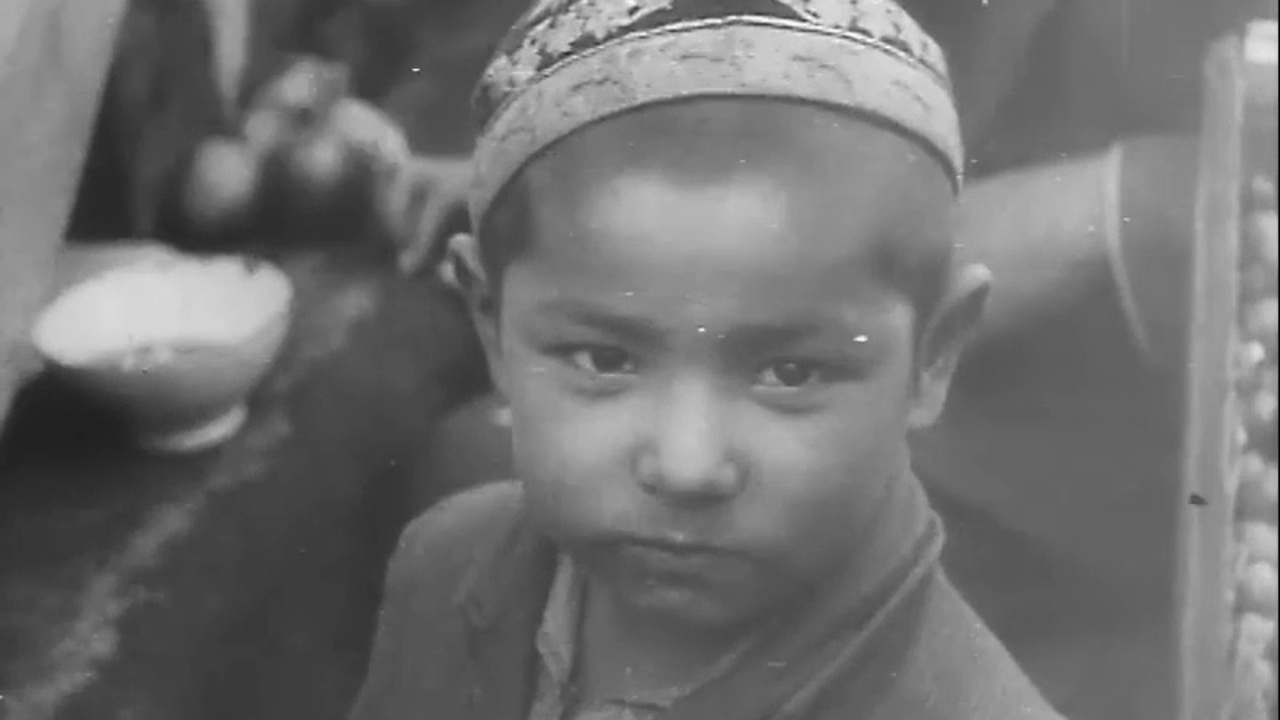 Год 1923