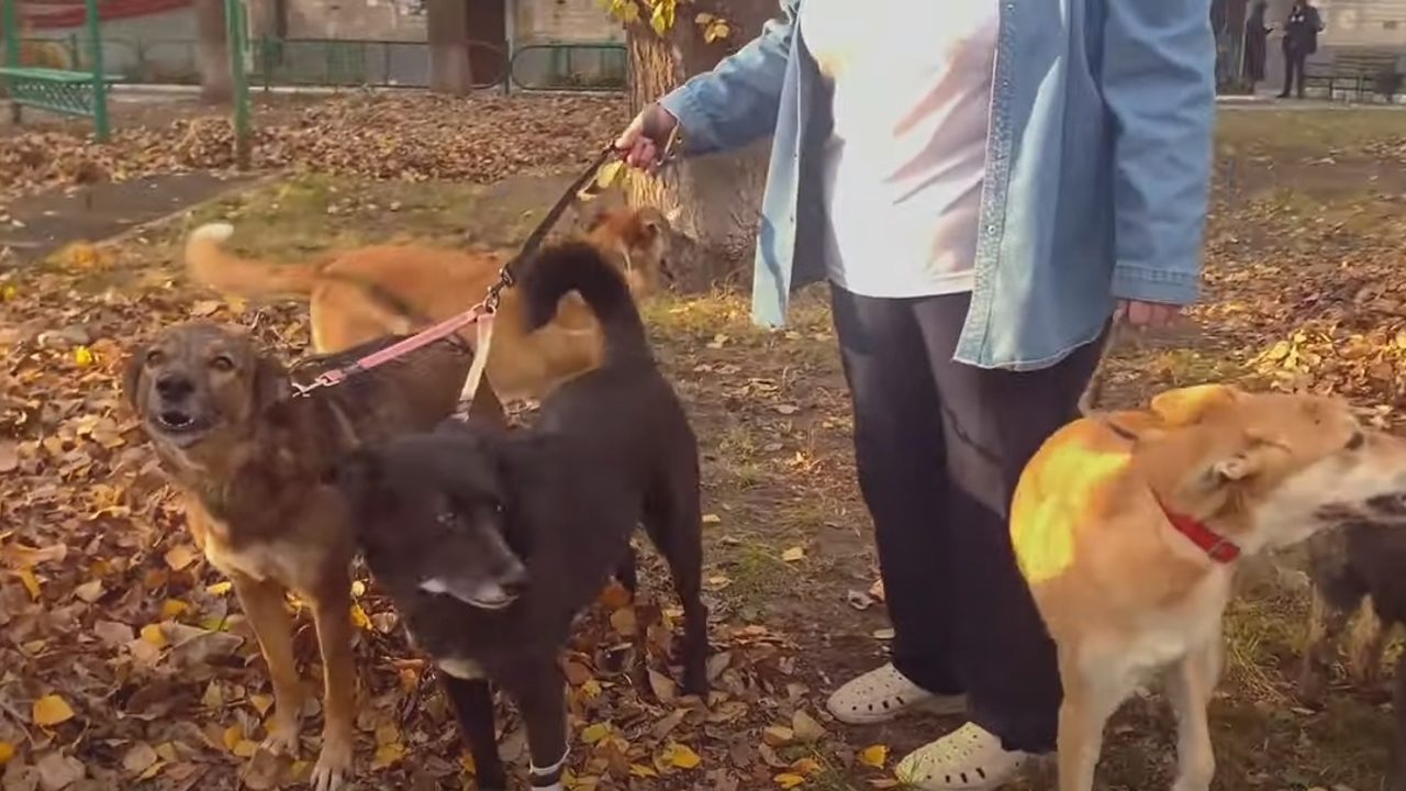 Эфир от 15.10.22