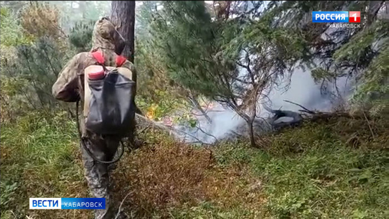 В Хабаровском крае сохраняется риск возникновения лесных пожаров