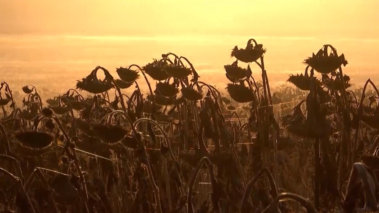 Эфир от 16.10.2022