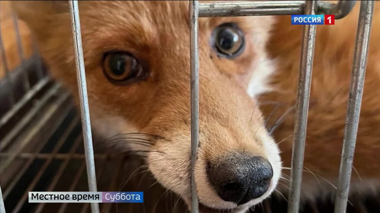 Эфир от 15.10.2022