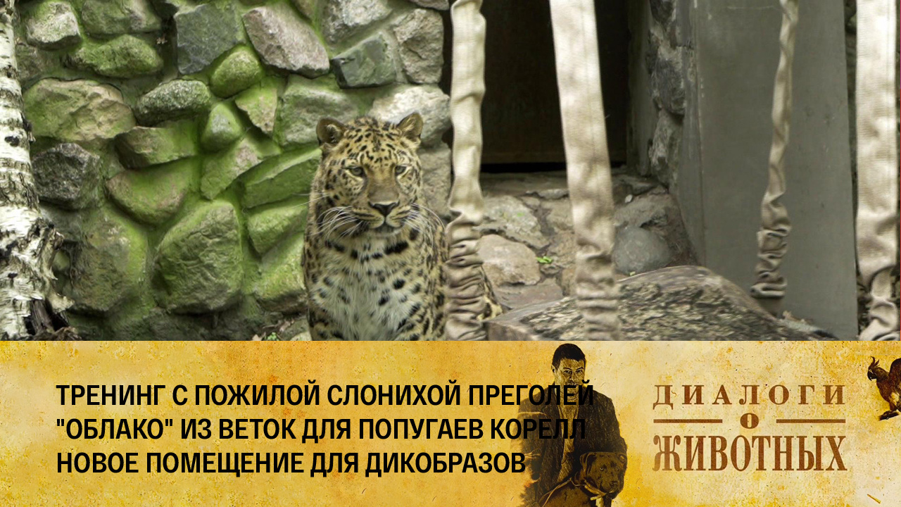 Калининградский зоопарк