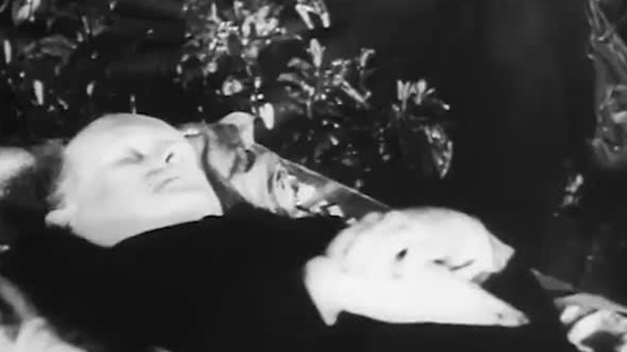 Год 1948