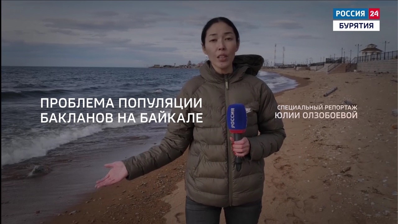 Бакланы