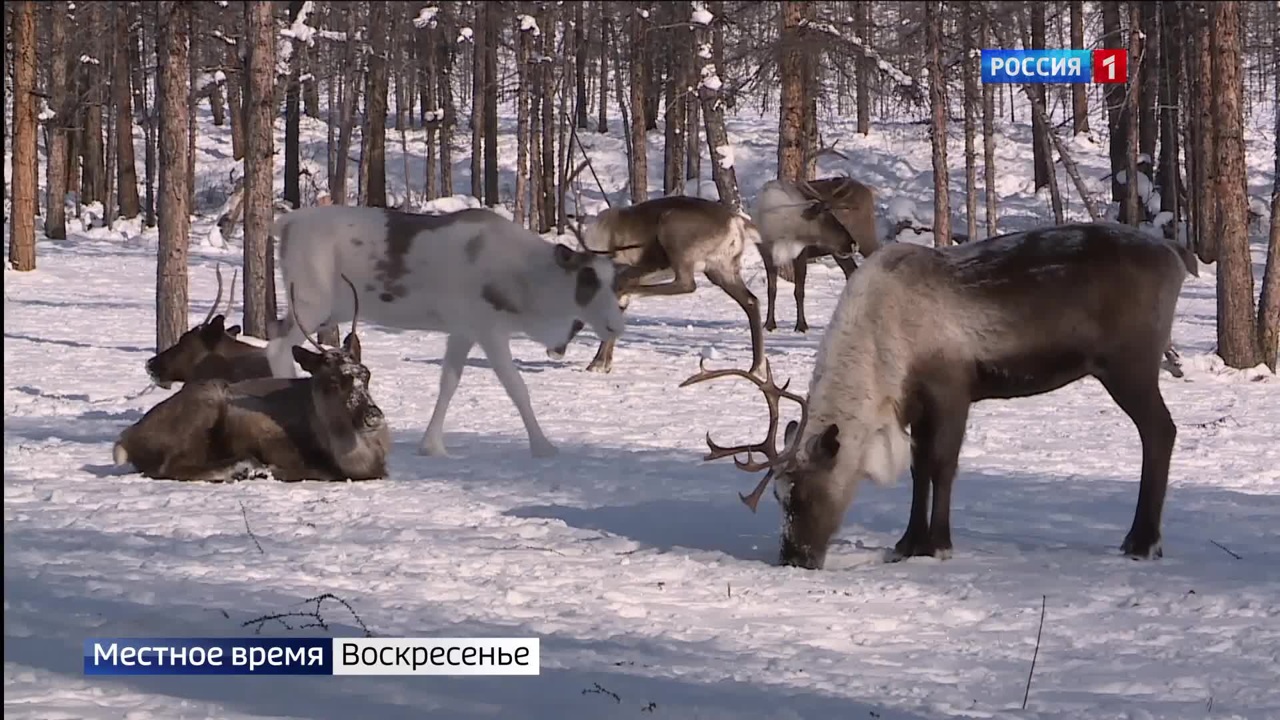Эфир от 23.10.2022